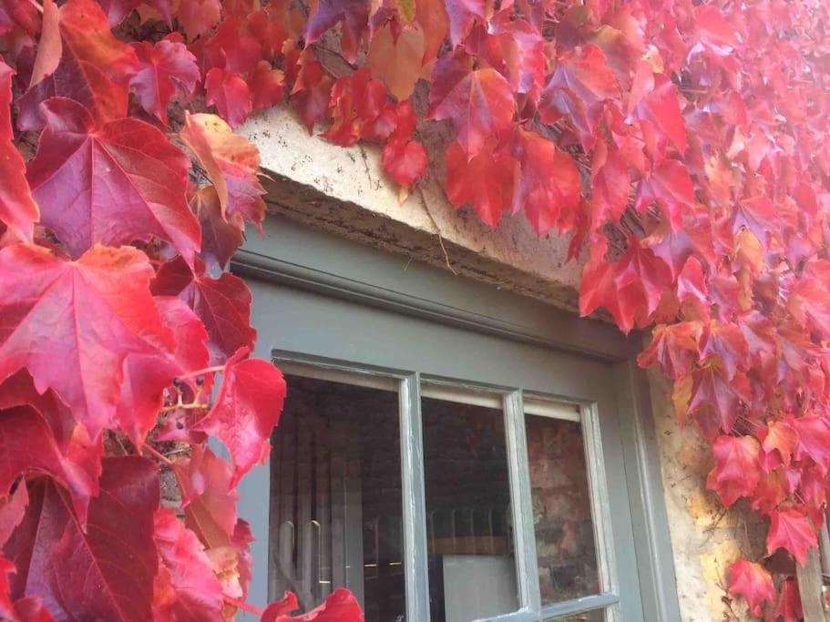 Blacksmith'S Barn - Cosy, Chilled & Dog Friendly. Wykeham  Exterior foto